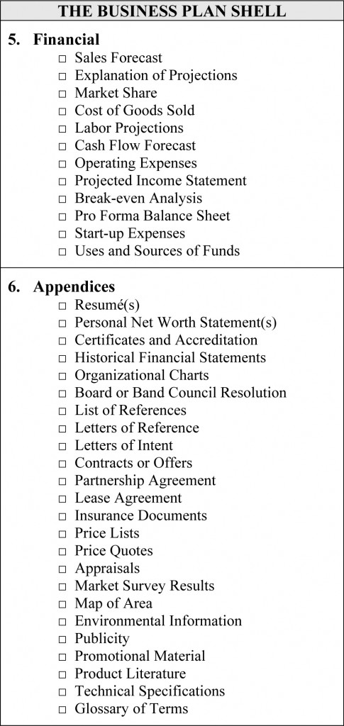 Shanpshot of the Business Plan Shell Structure